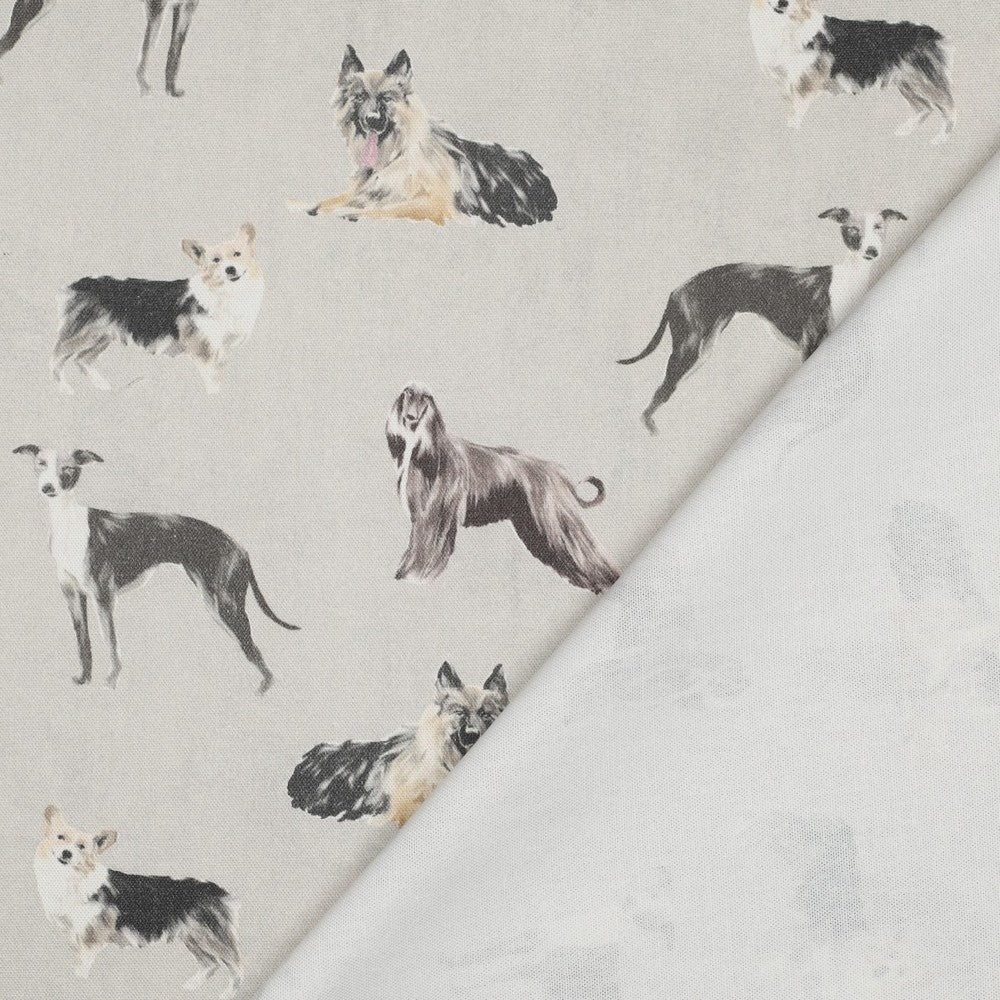 Canvas Digital Dogs