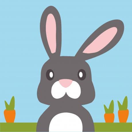 Kit canevas soudan | Mon lapin cookie