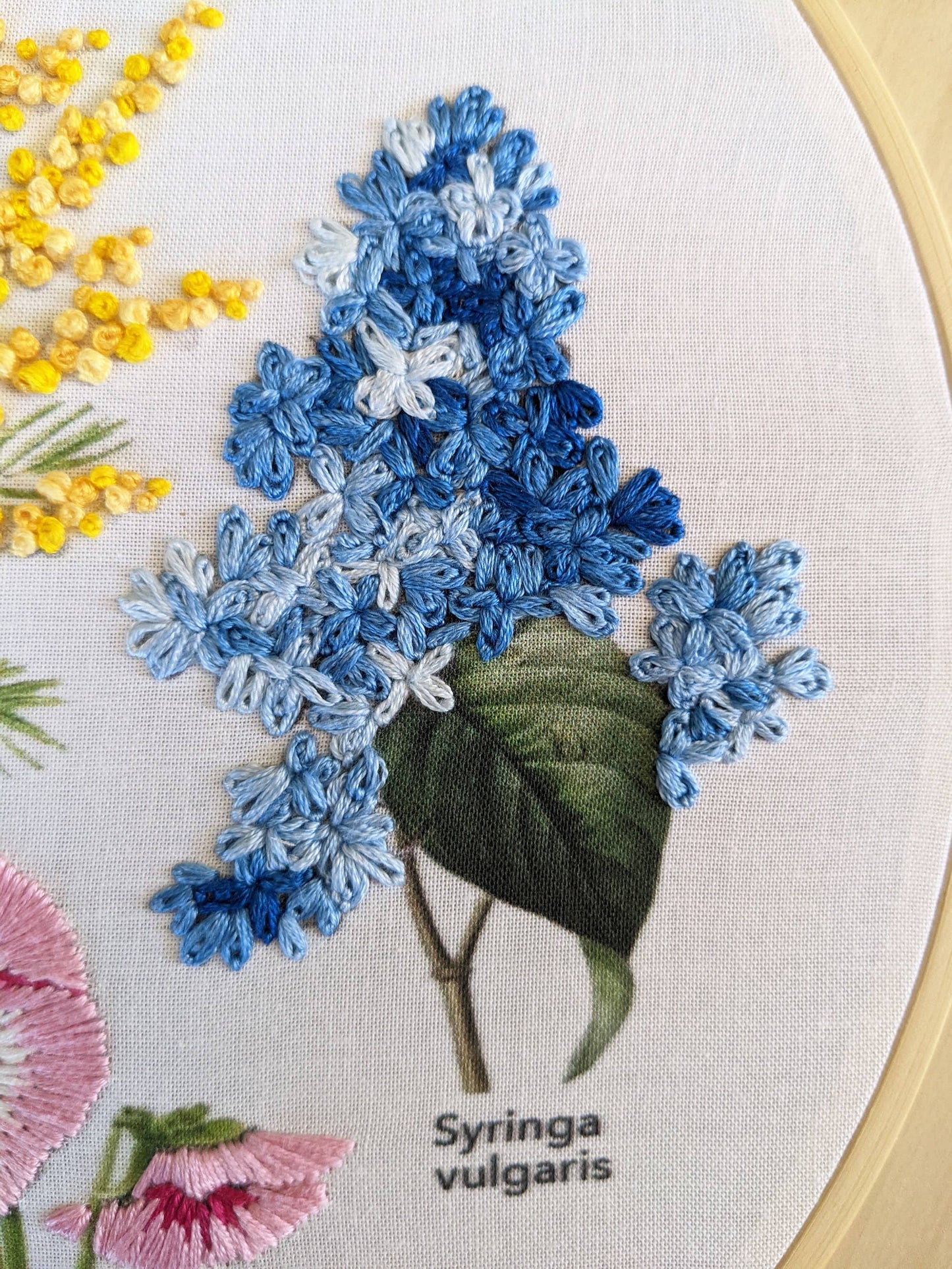 Kit de broderie d'herbier brodé