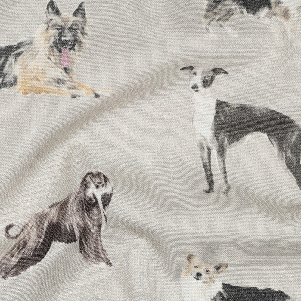 Canvas Digital Dogs