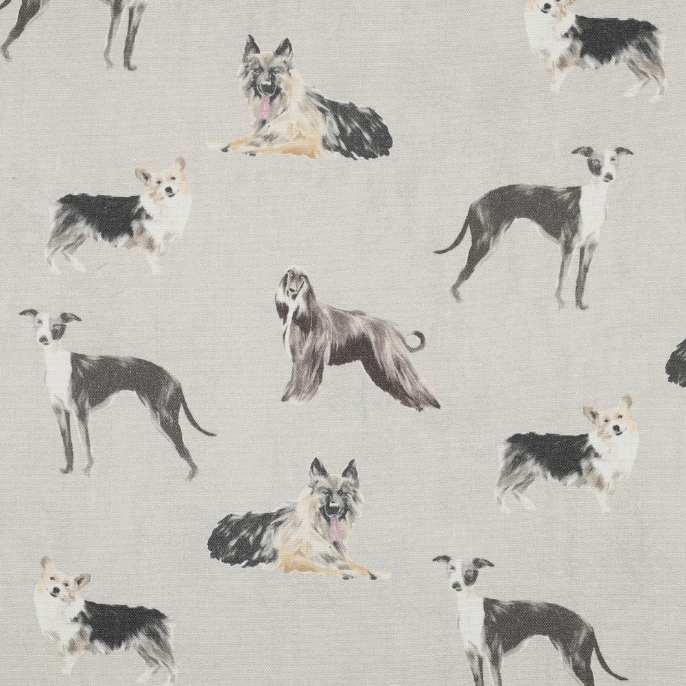 Canvas Digital Dogs