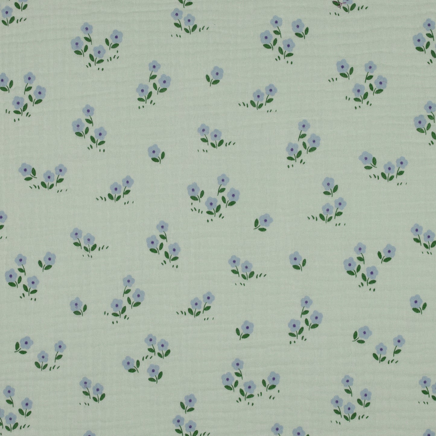 Double gaze Flowers