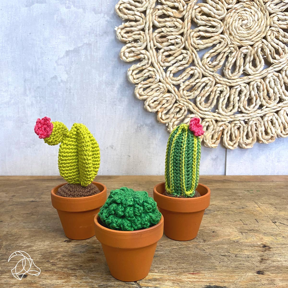 Hardicraft - Kit de crochet à faire soi-même - Cactus