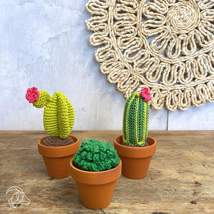 Hardicraft - Kit de crochet à faire soi-même - Cactus