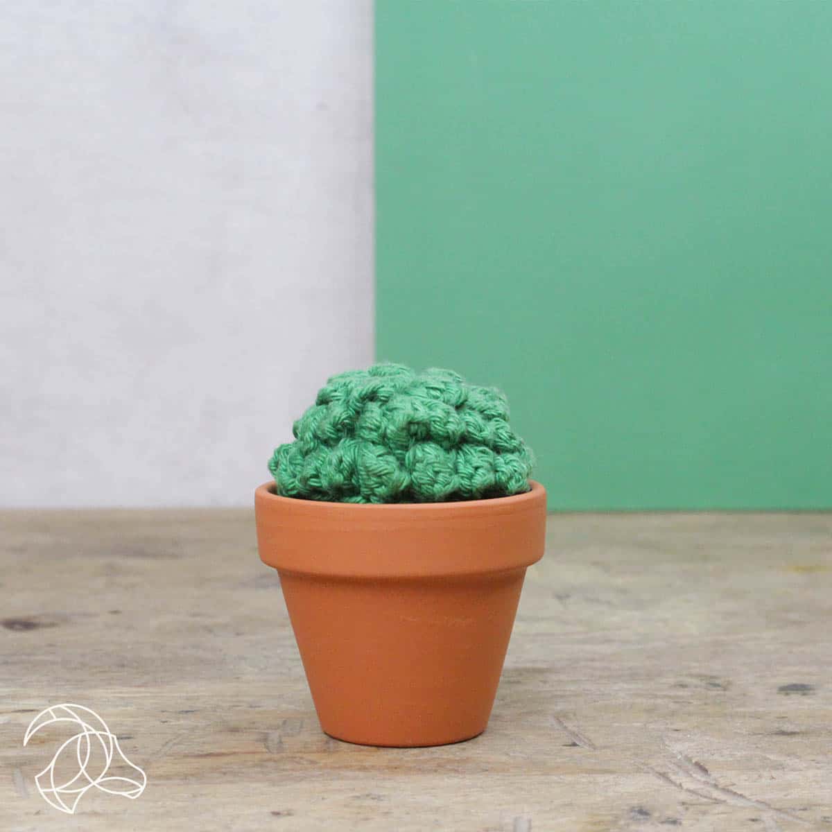 Hardicraft - Kit de crochet à faire soi-même - Cactus
