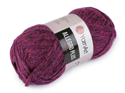 Pelote de laine Allegro Plus, 100 g - 1pc