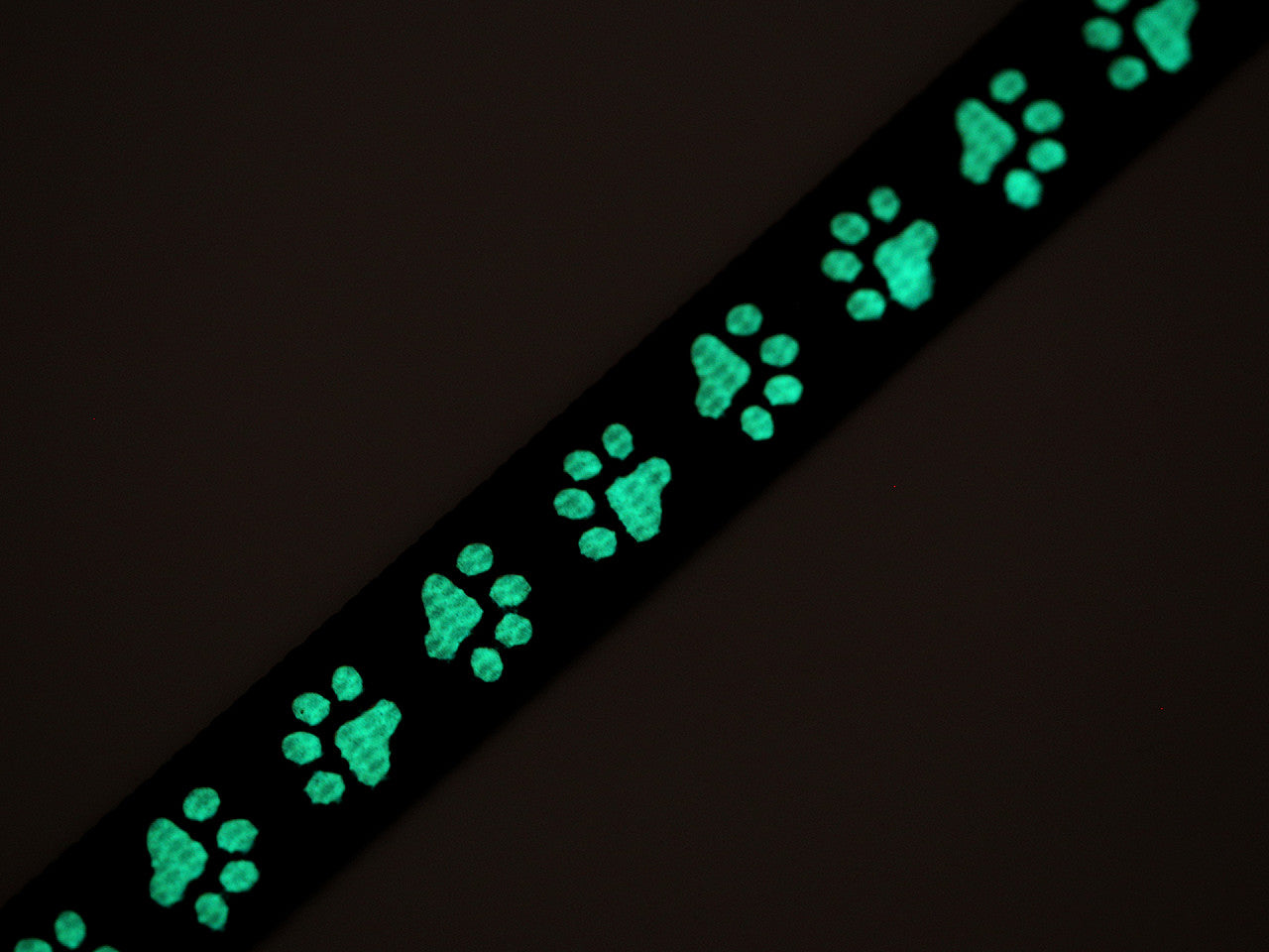 Sangle en polypropylène pour laisse/collier, phosphorescente, largeur 15 mm