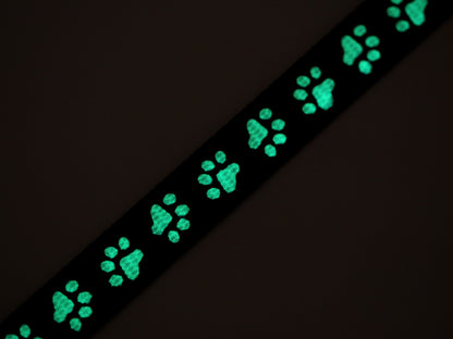 Sangle en polypropylène pour laisse/collier, phosphorescente, largeur 15 mm