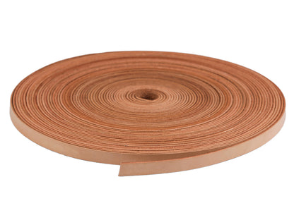 Sangle/Anse de sac en cuir, largeur 10 mm, vendue au mètre