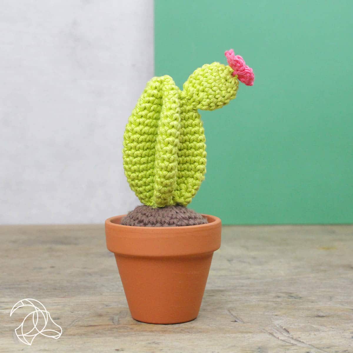 Hardicraft - Kit de crochet à faire soi-même - Cactus